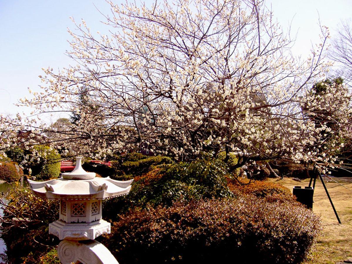 Hotel Garden Palace Kumagaya Exterior foto